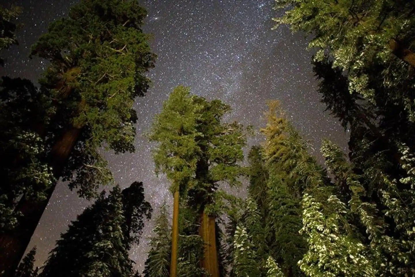 John Muir Lodge Landschaft