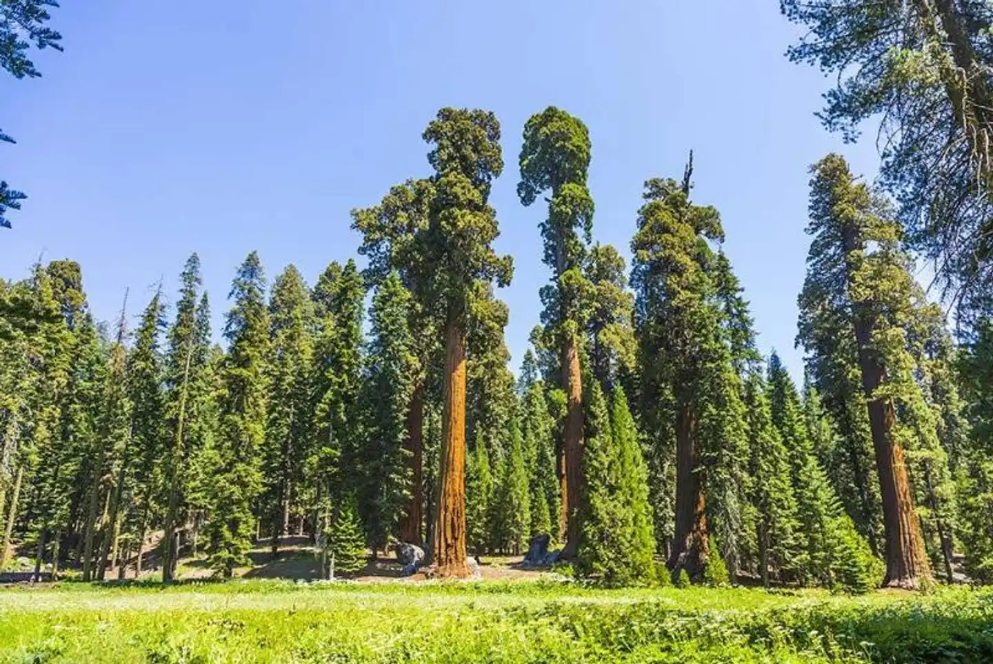 John Muir Lodge Landschaft