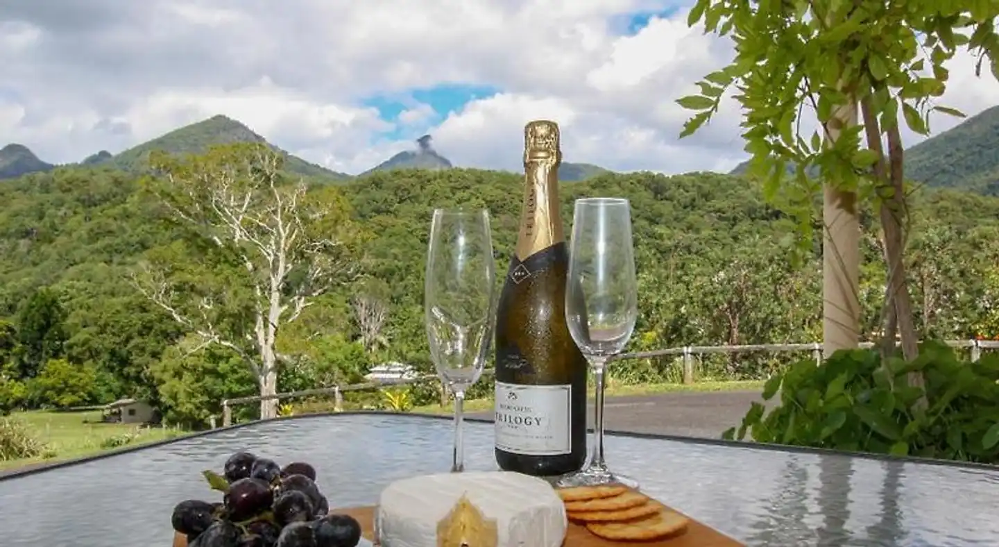 A View of Mt Warning Bed and Breakfast Wellness