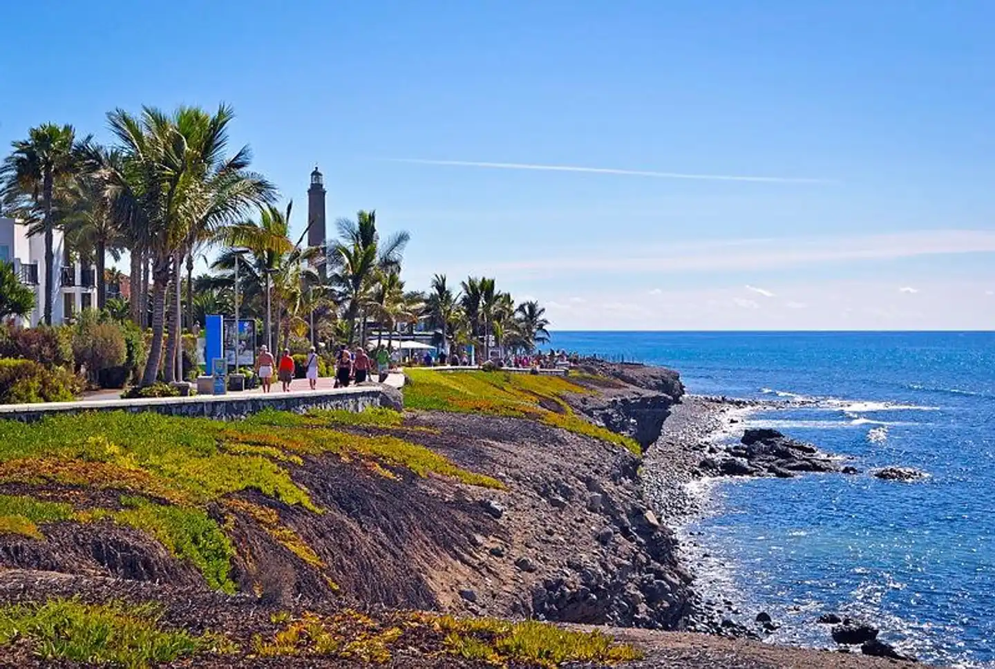 Dunaoasis Maspalomas Landschaft