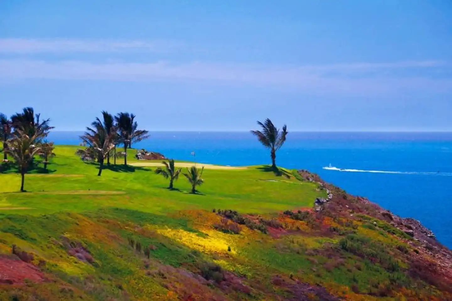 Dunaoasis Maspalomas Landschaft