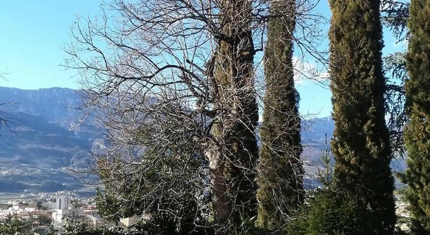 DOLCE DORMIRE Landschaft
