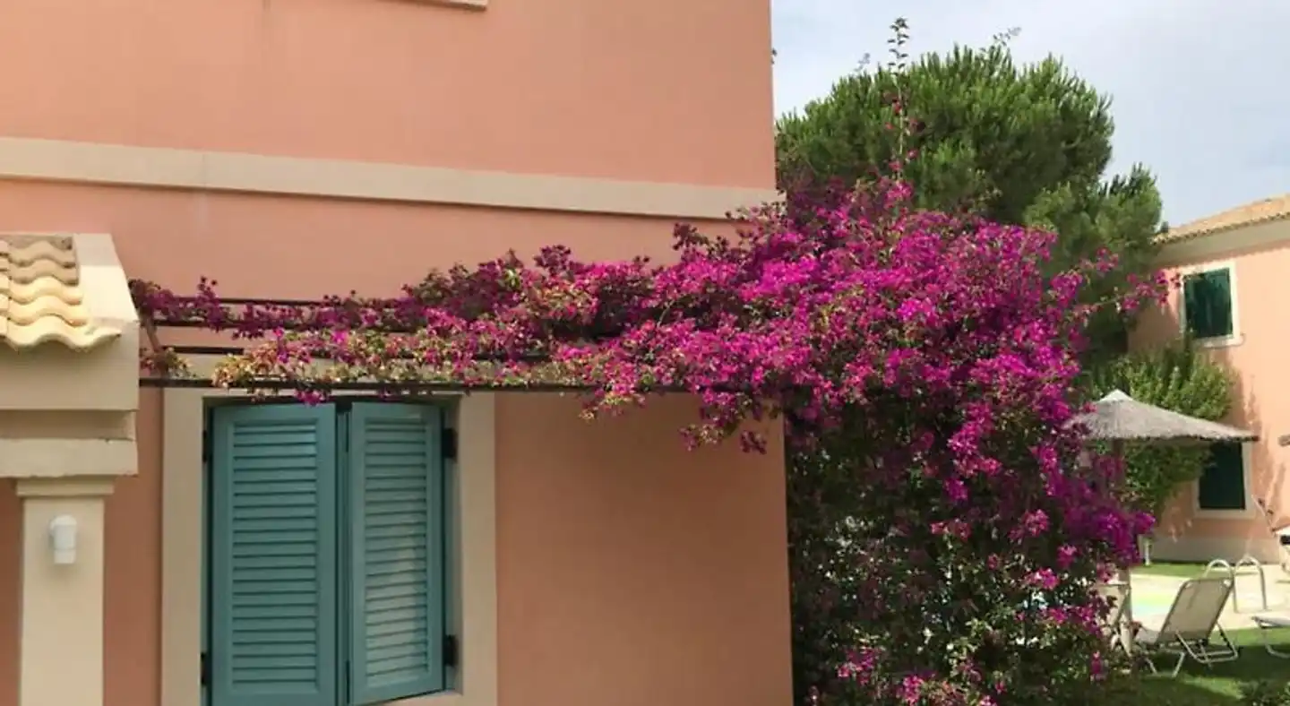Satori Boutique Hotel Terrasse