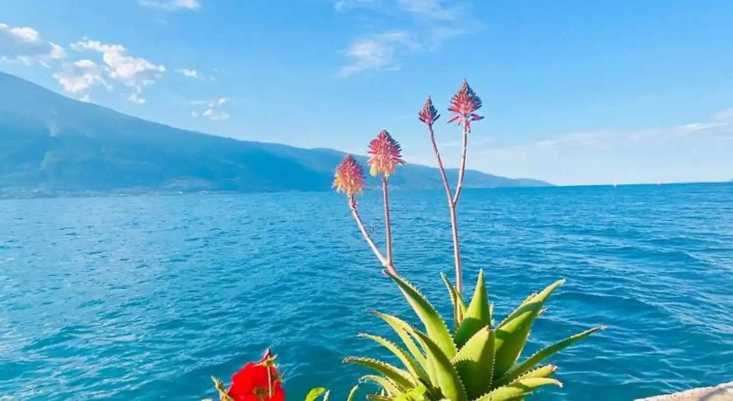 Hotel Forbisicle Landschaft