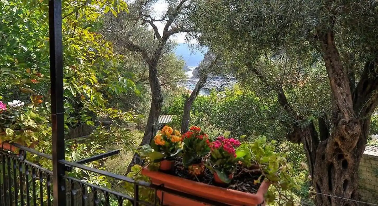 Pieros Studios Alipa Garten