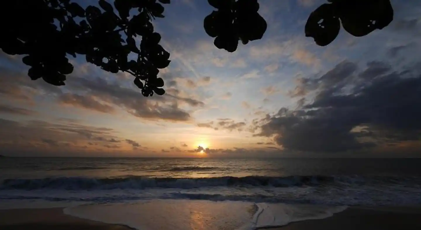 White Sand Samui Resort Landschaft