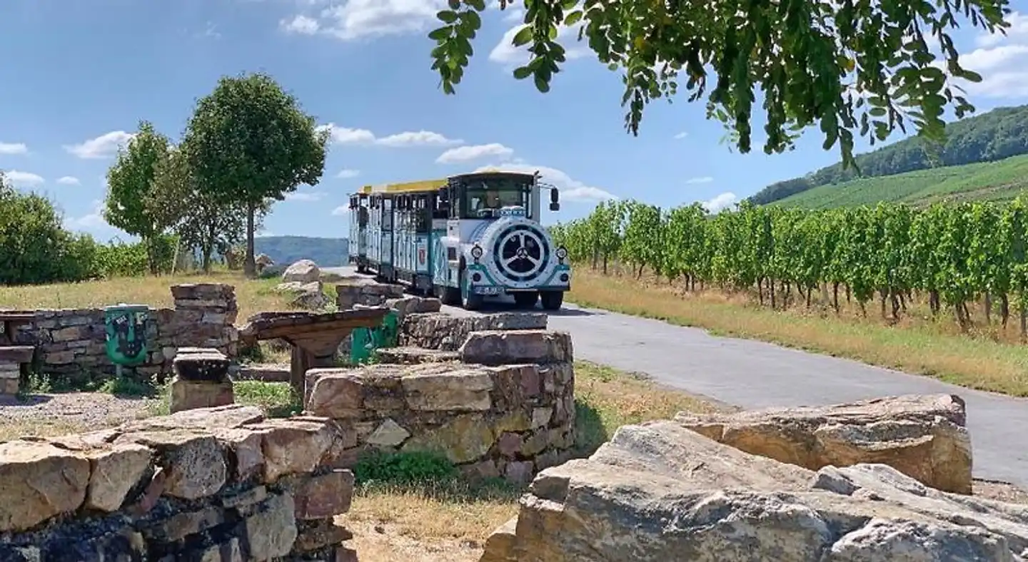 Fewo Zum Malerwinkel - Rudesheim Landschaft