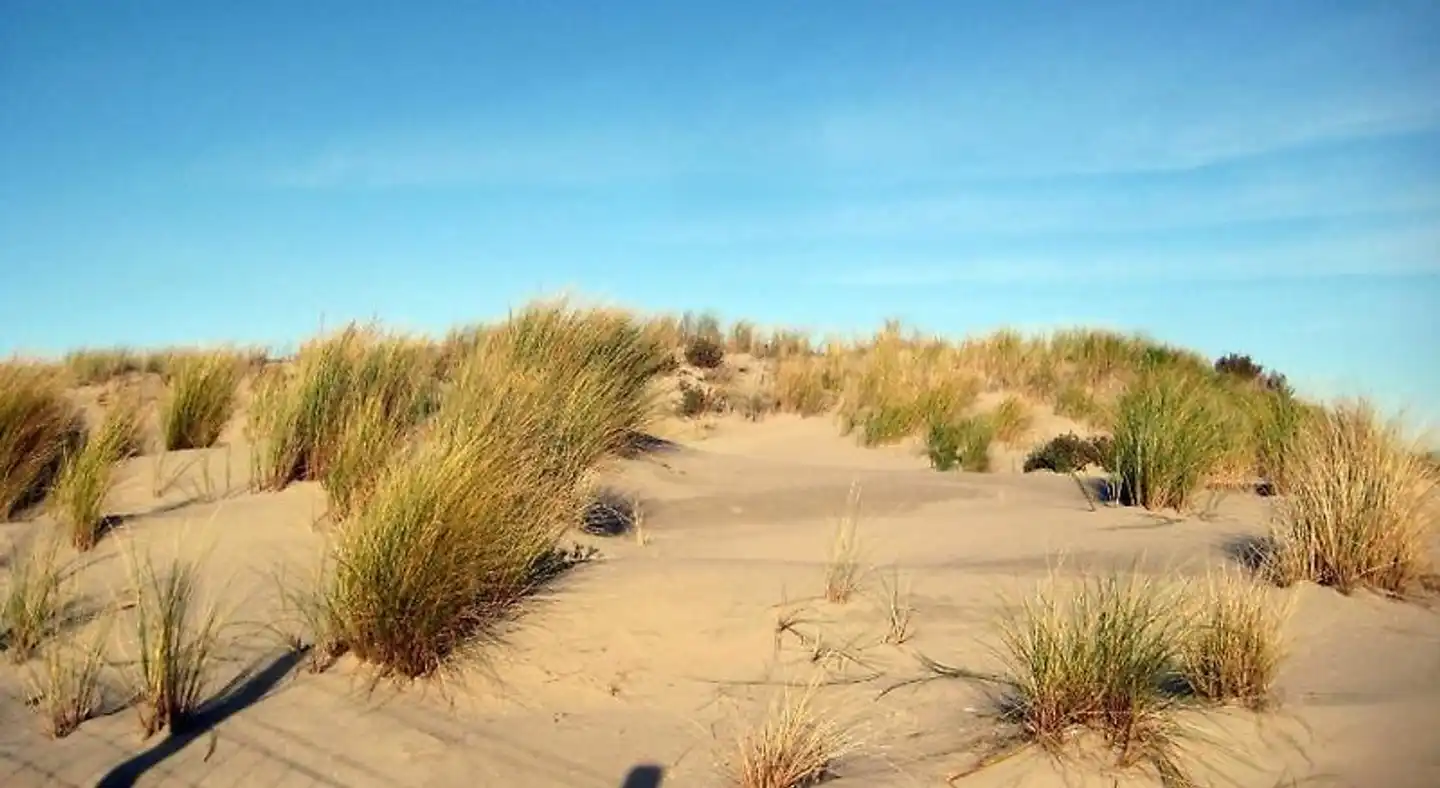 Stuifkenszand Strand