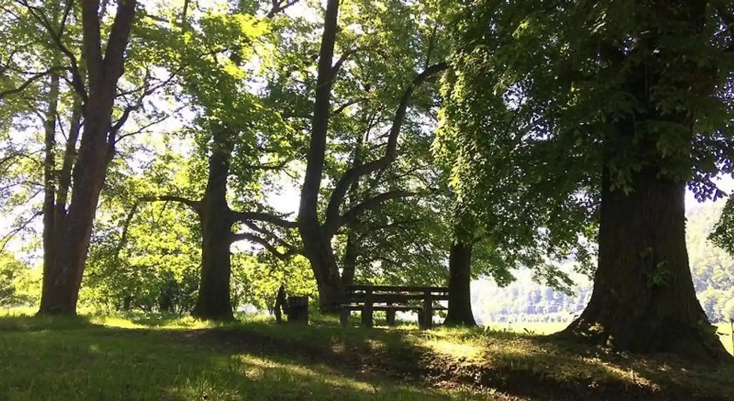 Schloss Prossen Garten