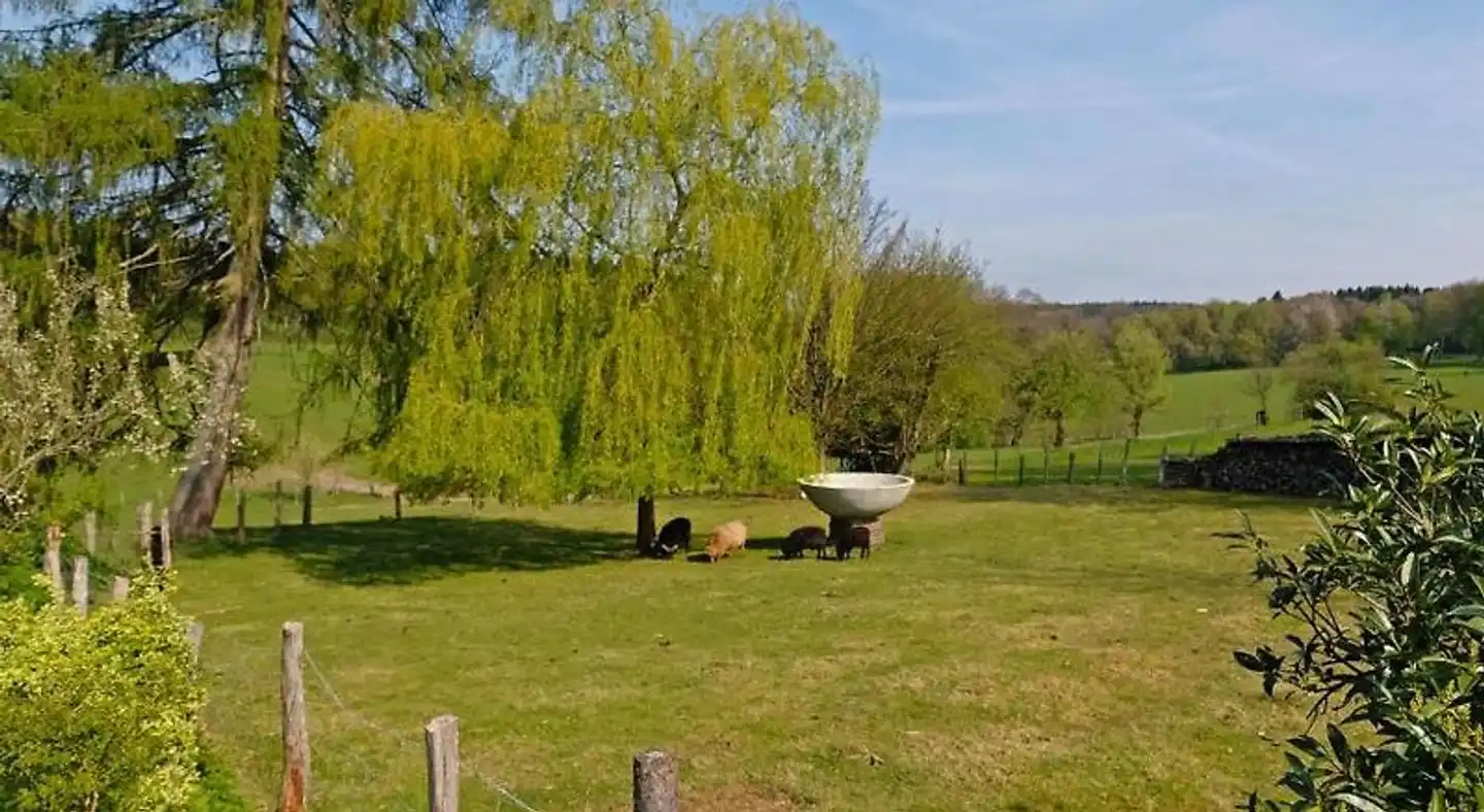 Stöltings Landhaus Tiere