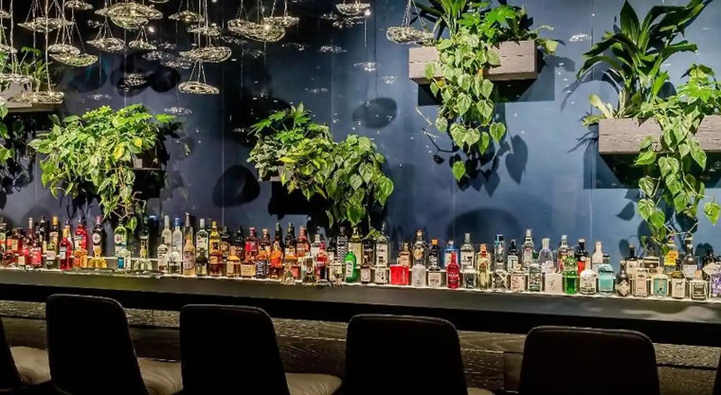 Motel One Bonn-Hauptbahnhof Bar