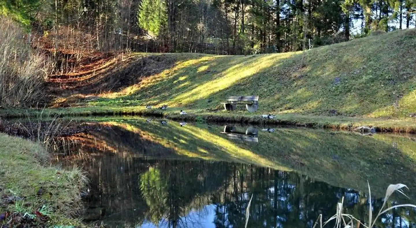 Gritscher Landschaft