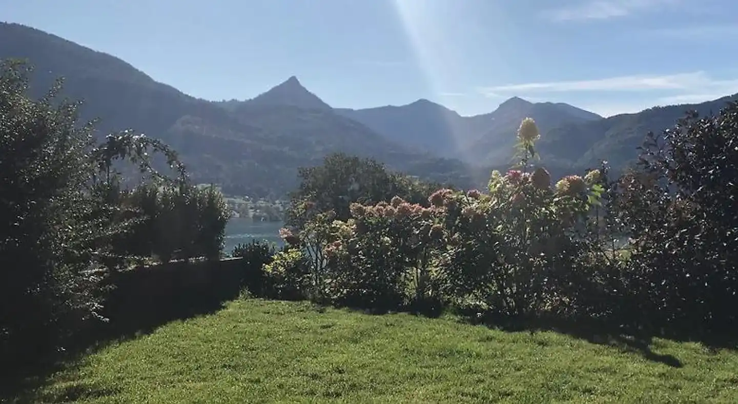 The View Landschaft