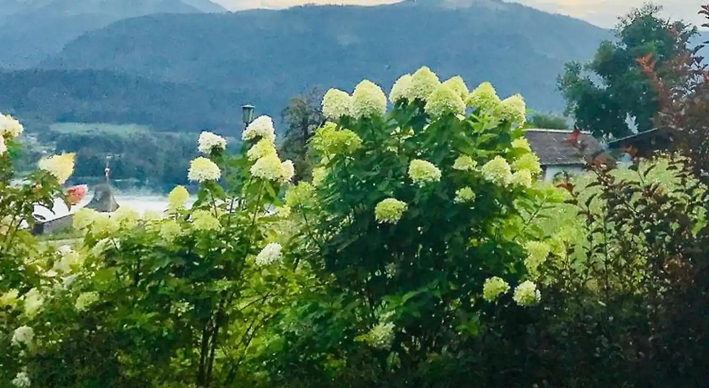 The View Landschaft