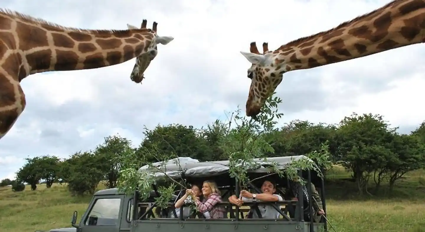 Holiday Inn Express Folkestone - Channel Tunnel Tiere