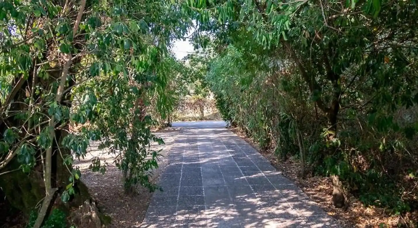 Villa Olive apartments Garten