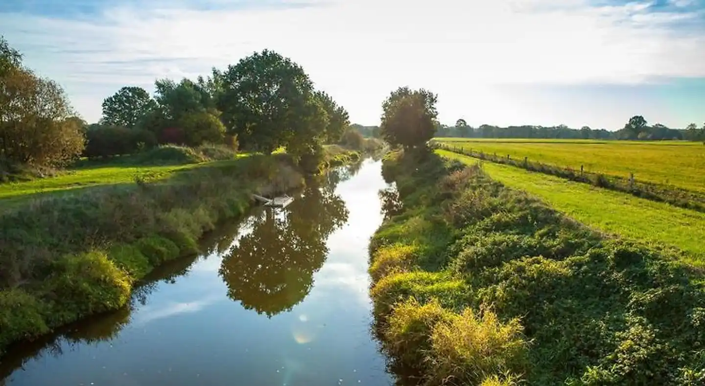 Heidegrund Landschaft