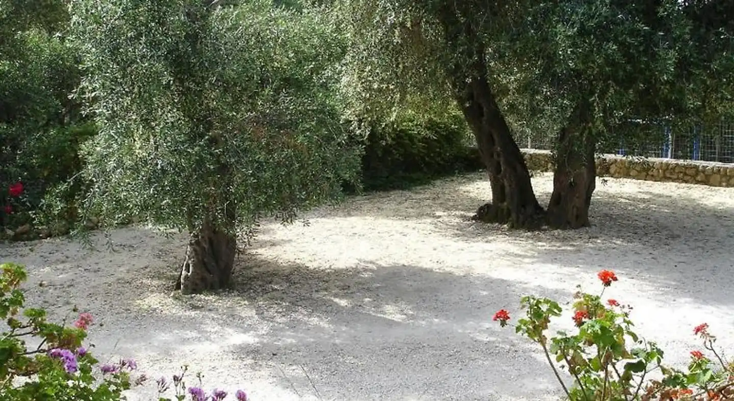 Bozikis Apartments & Studios Sport und Entertainment