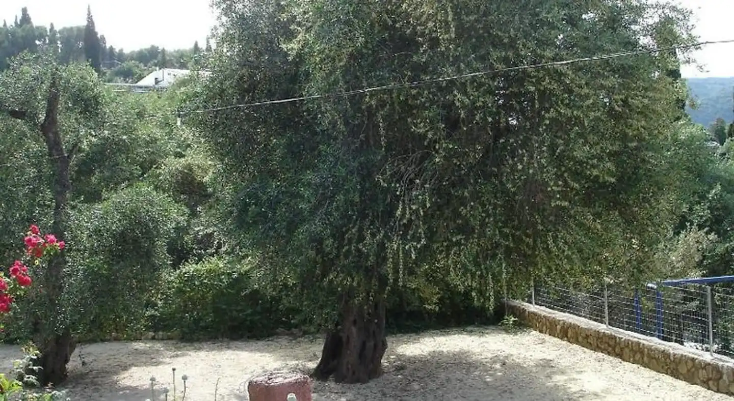 Bozikis Apartments & Studios Garten