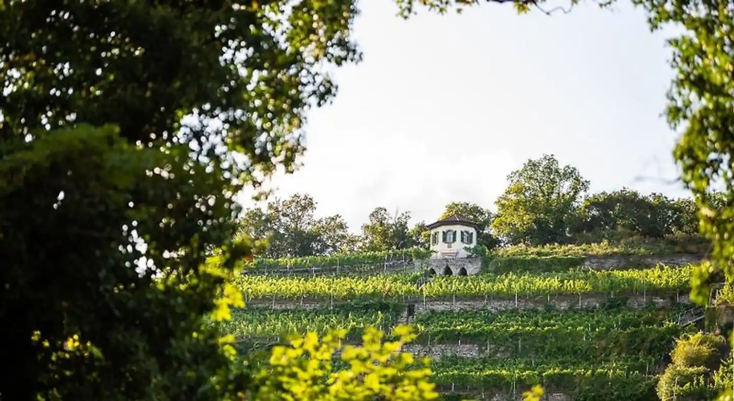 Schlosshotel Horneck Landschaft