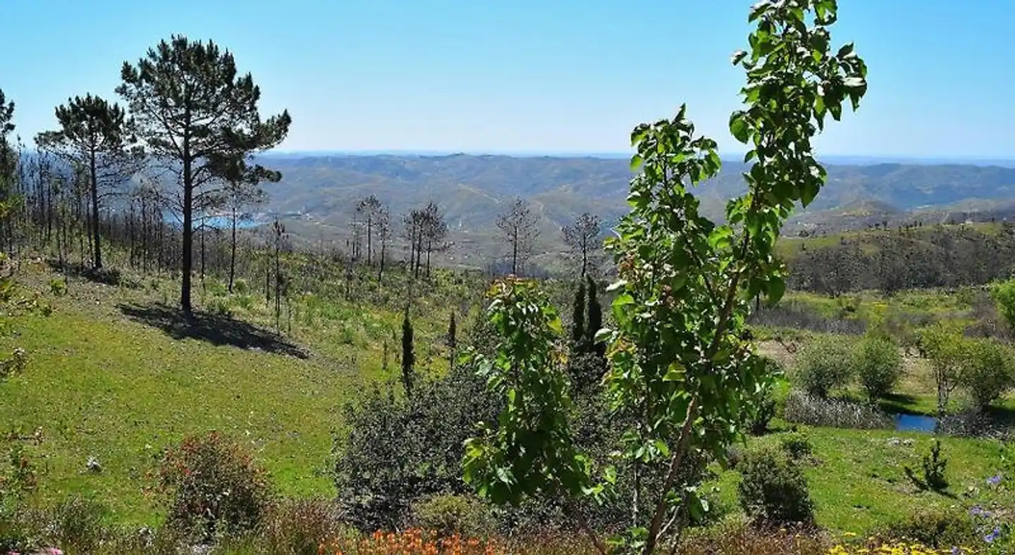 B&B Quinta O Ninho Landschaft