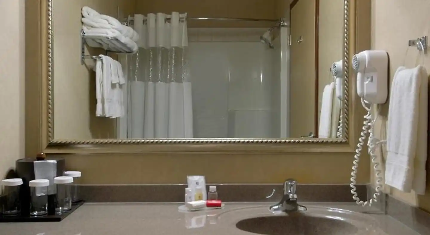 Ramada by Wyndham Drumheller Hotel & Suites Badezimmer