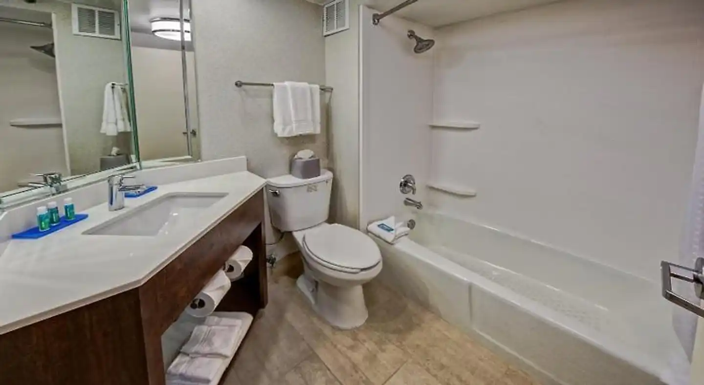 Holiday Inn Express Memphis Medical Center Midtown Badezimmer