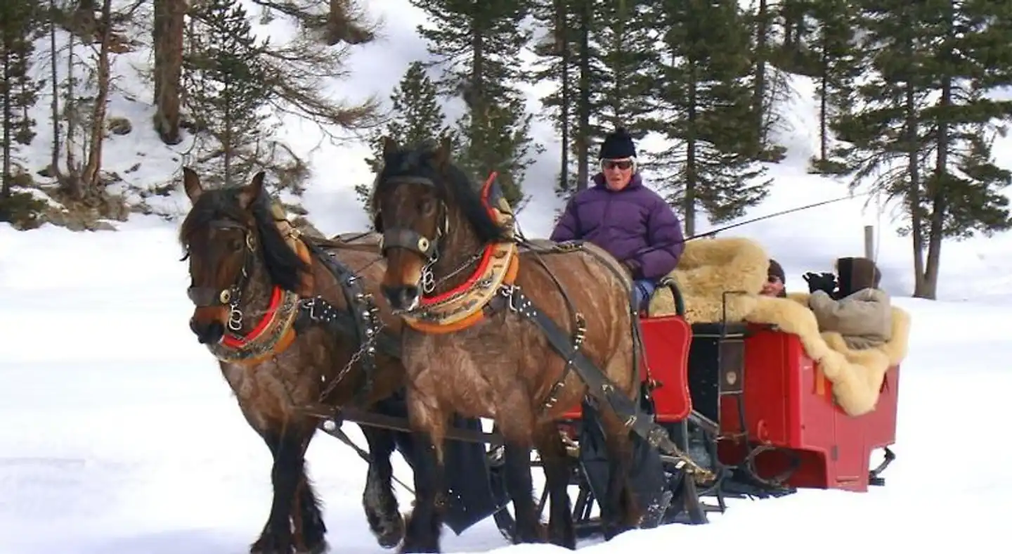 Hotel Roseg-Gletscher Tiere