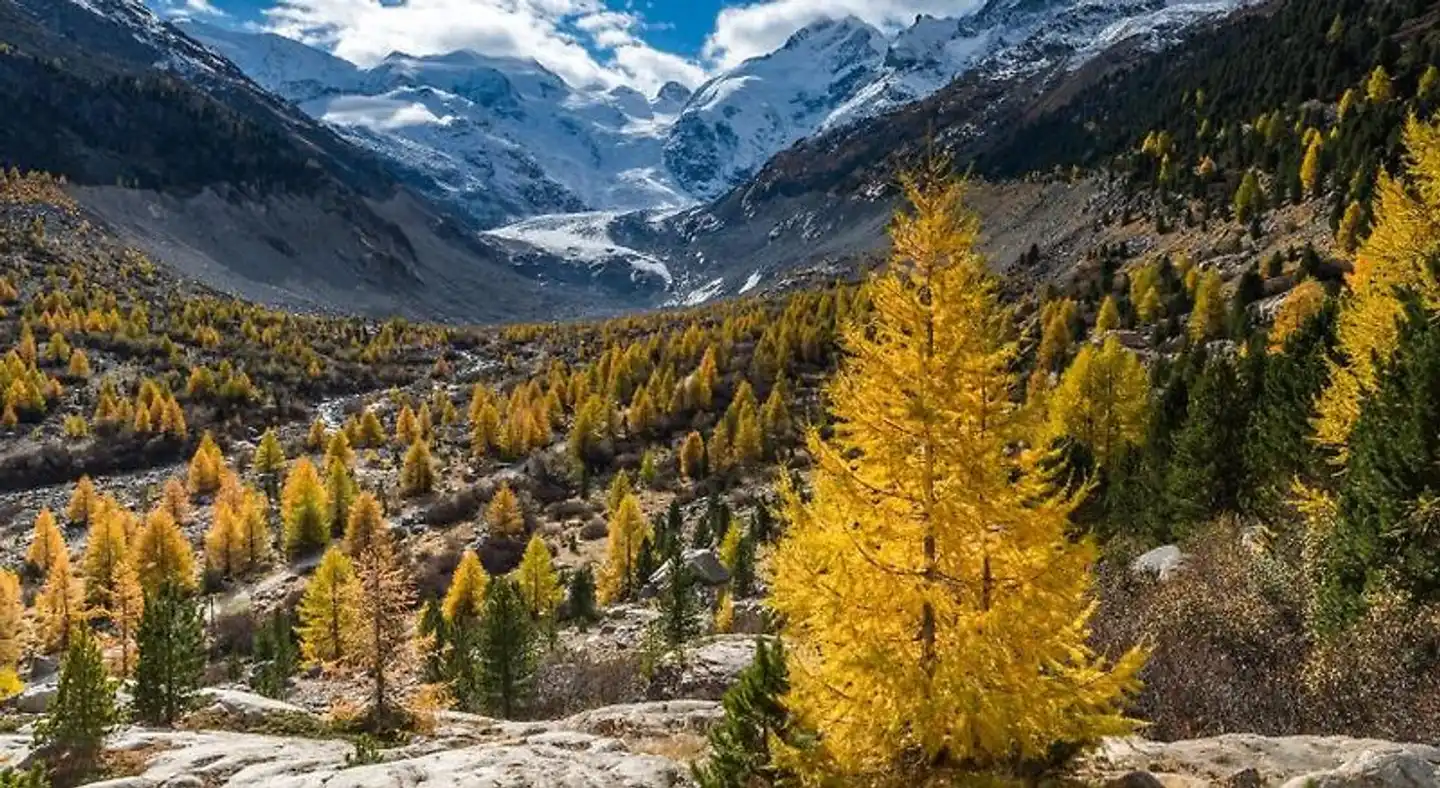 Morteratsch Landschaft