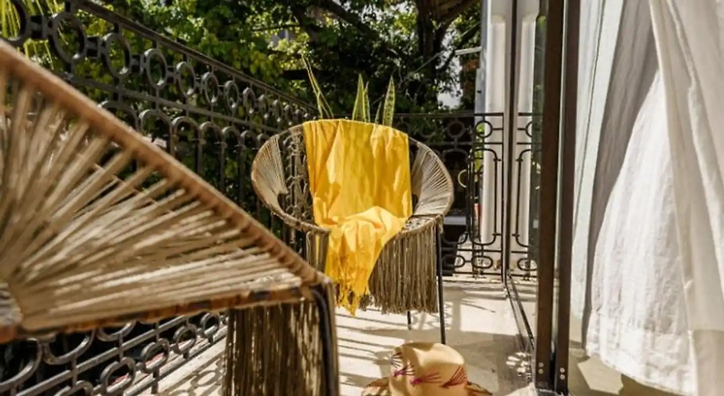 Hotel Banana Boutique Tiere