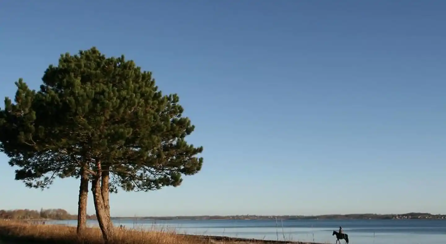 Ostsee-Strandhaus-Holnis Strand