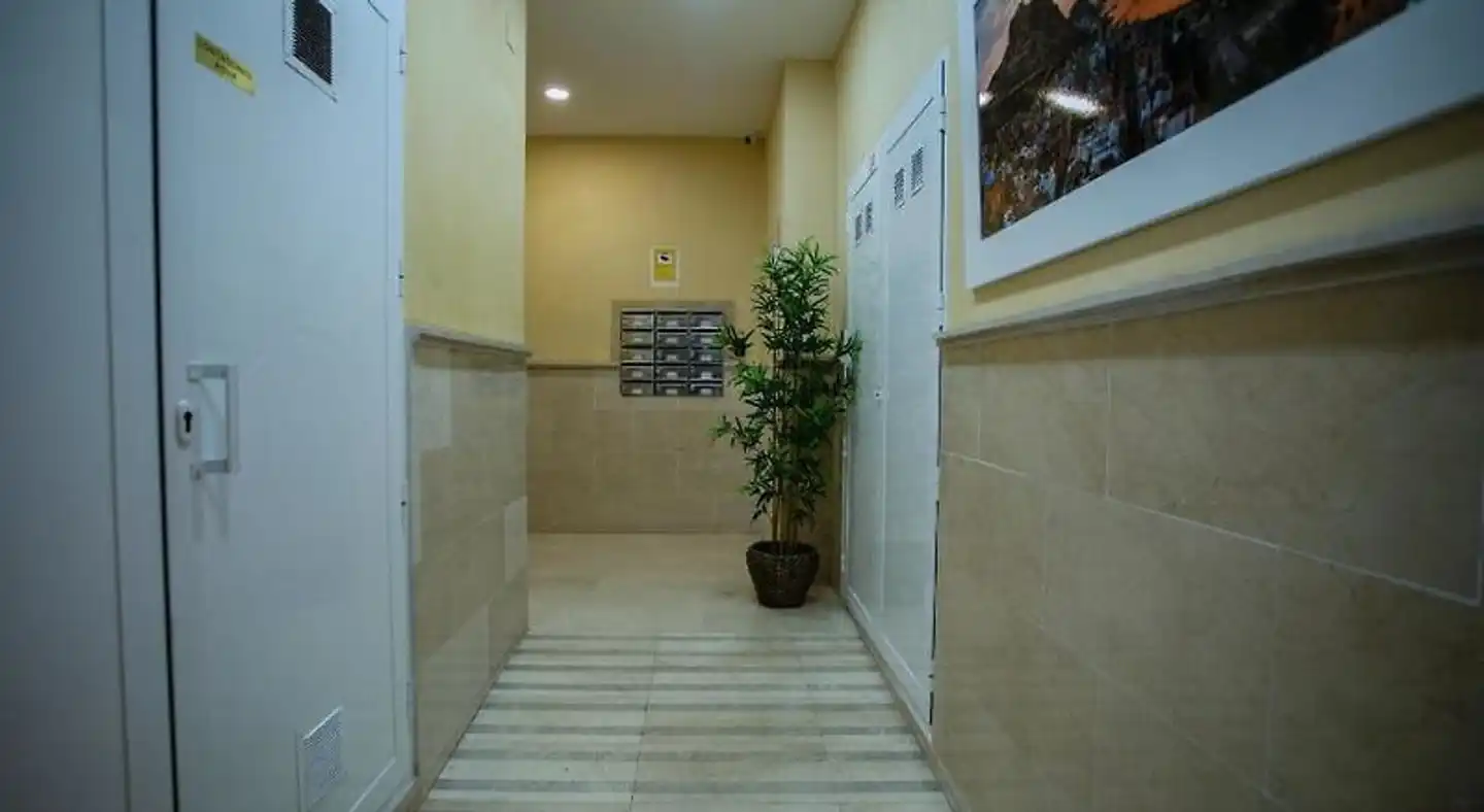 Apartamentos Europa House Loft Lobby