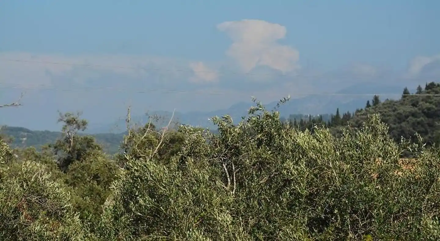 Elena Landschaft