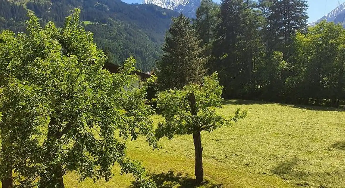 Landhaus Dornau Landschaft