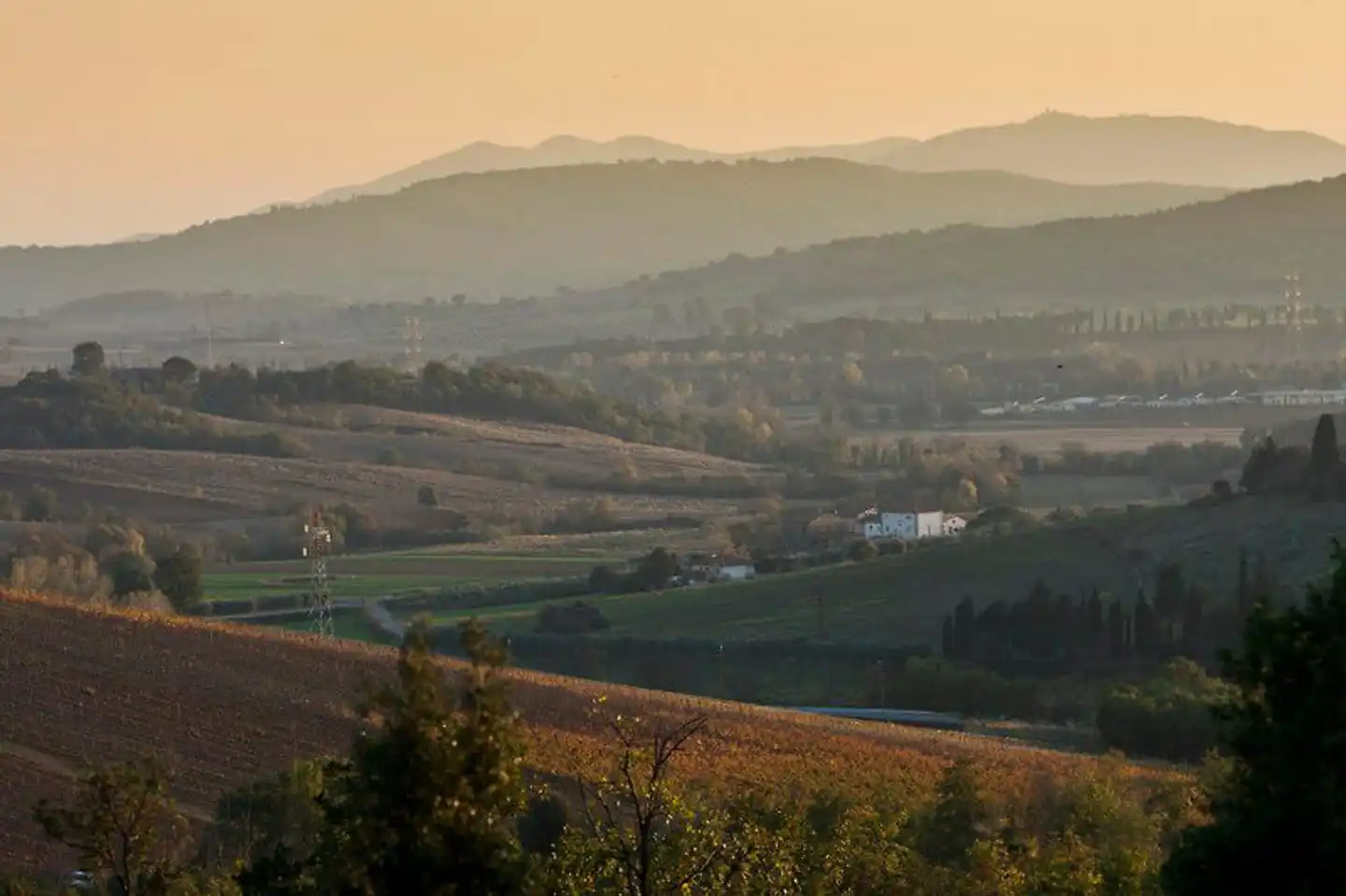 Tenuta Casteani Wine Resort Landschaft