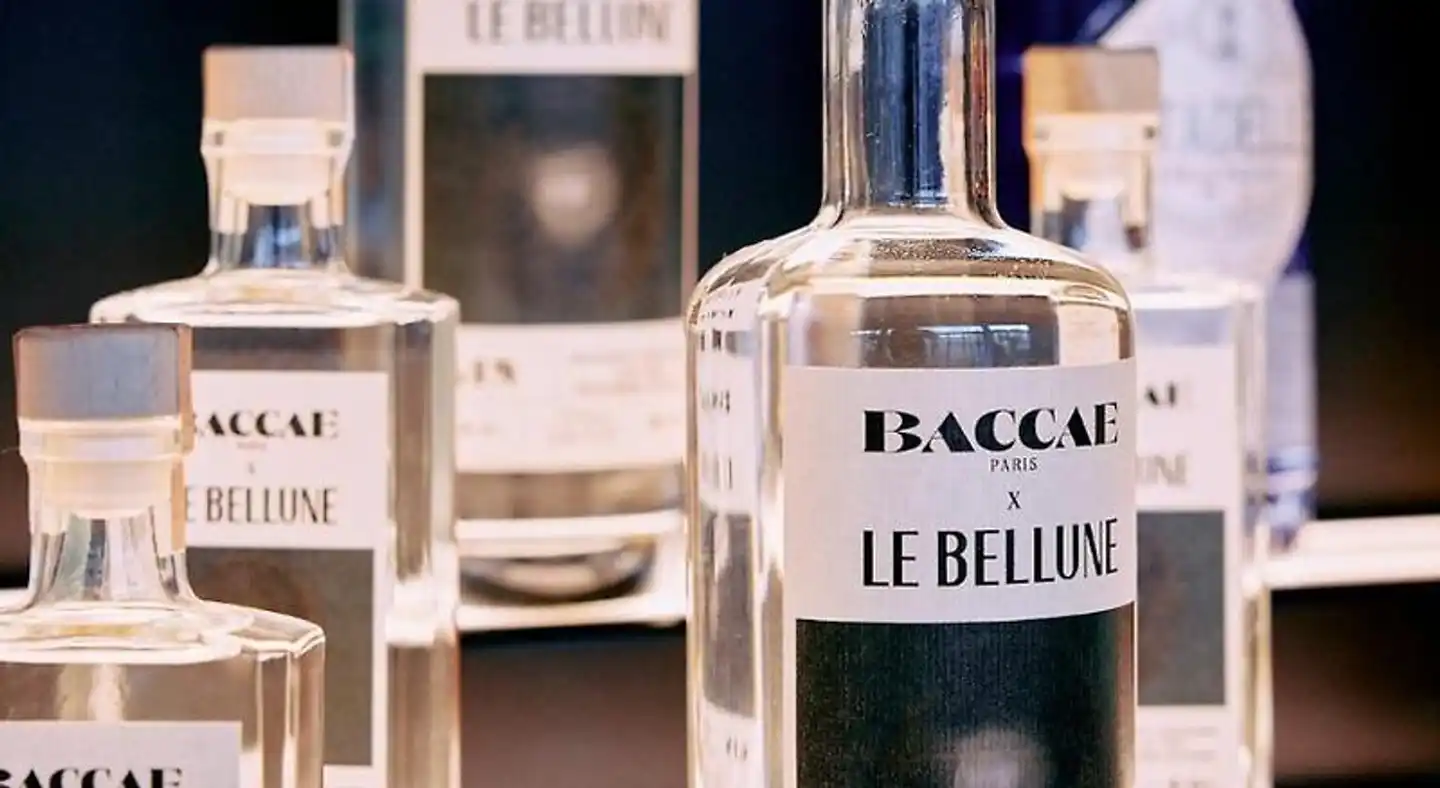 Le Bellune Paris Hotel Wellness