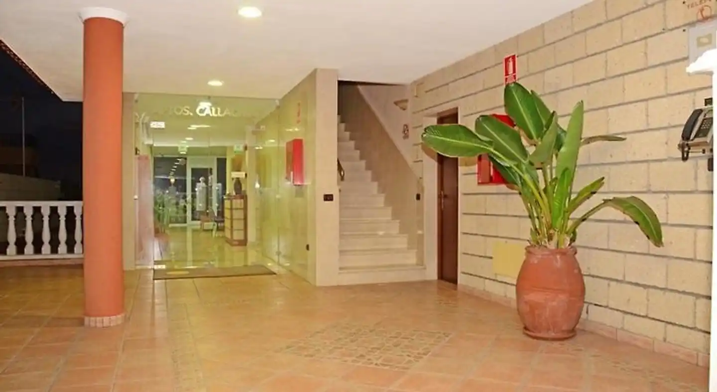 Apartamentos Callaomar Lobby