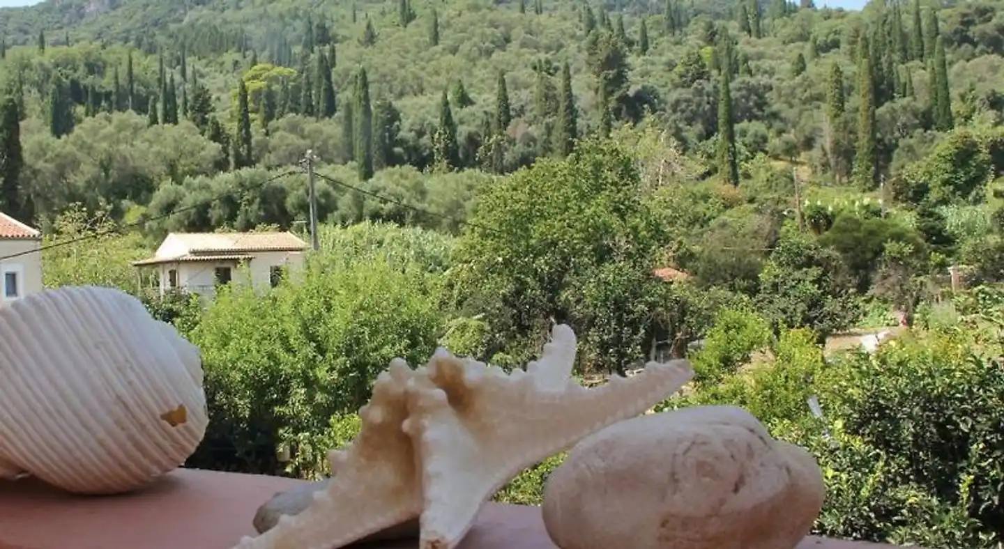 Villa Martha Terrasse