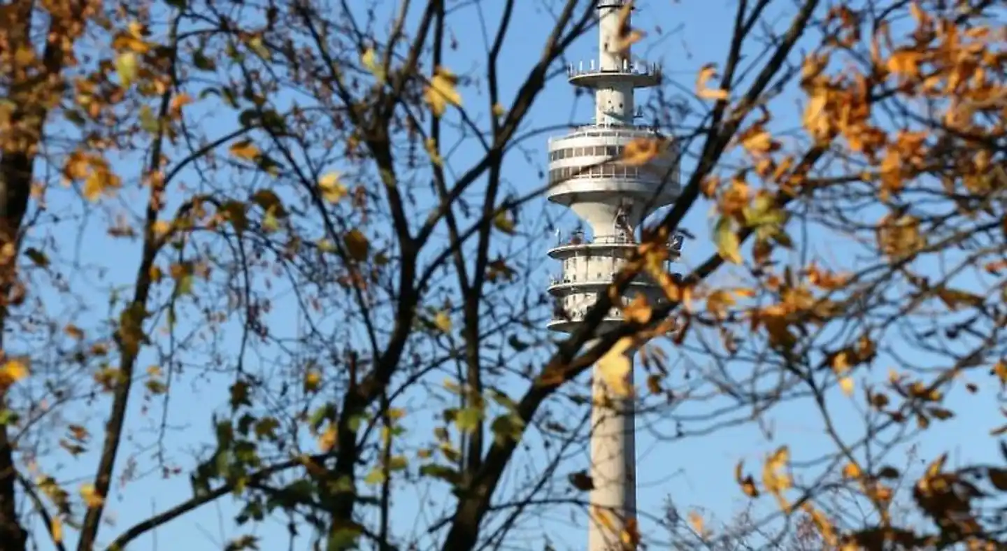 Business Suiten Landschaft
