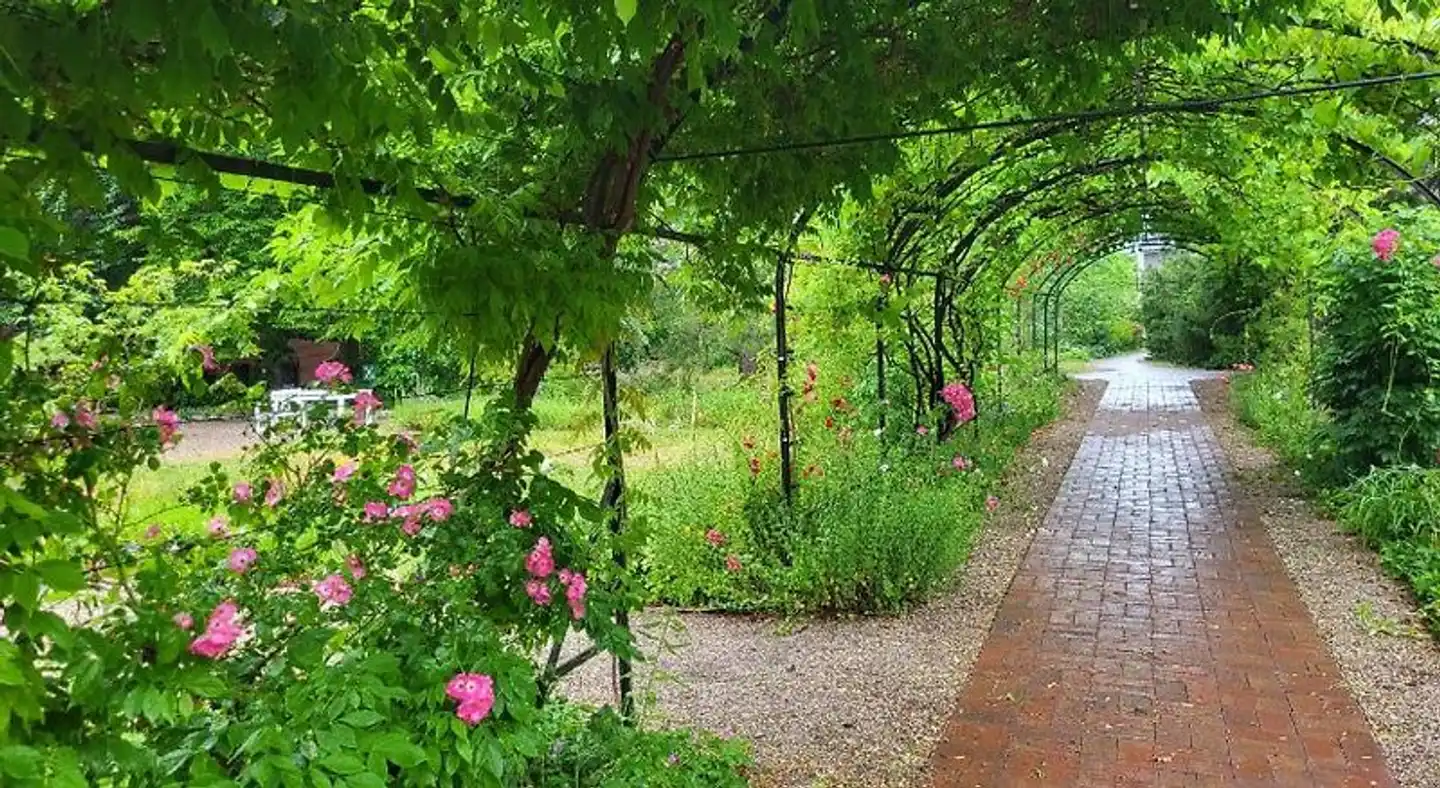Gäste- und Tagungshaus am Glockengarten Garten