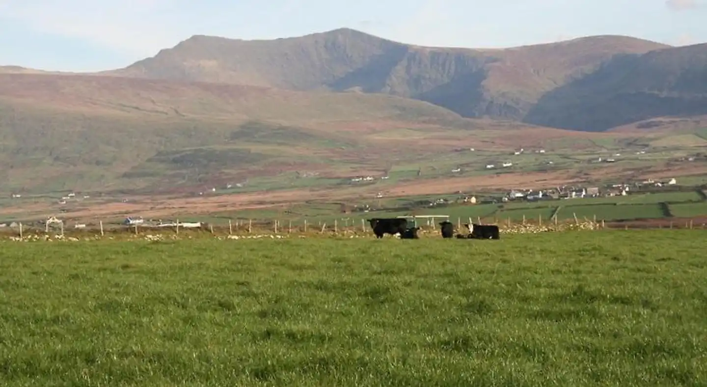 Coill an Rois B&B Landschaft