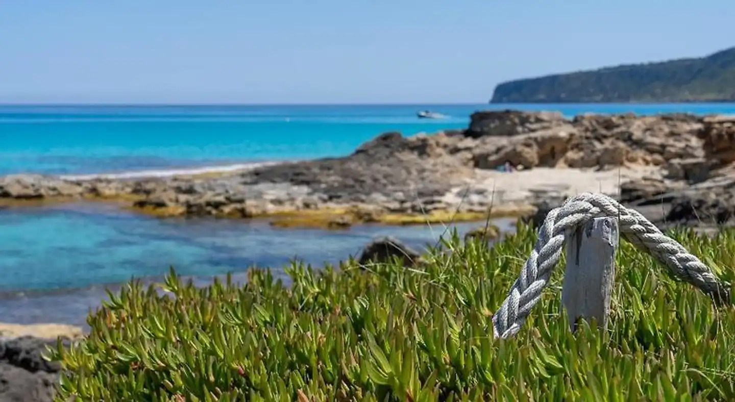 El Pino Strand