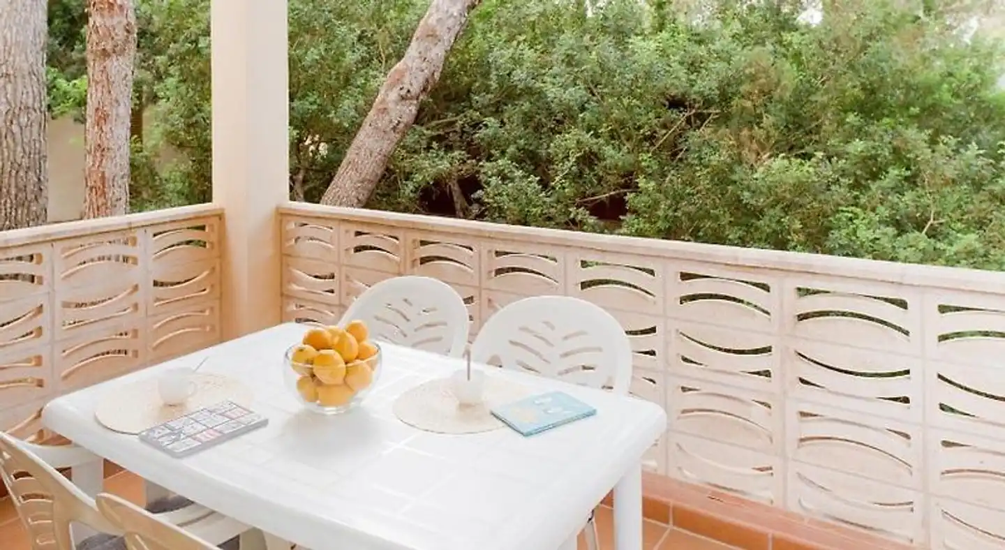 El Pino Terrasse