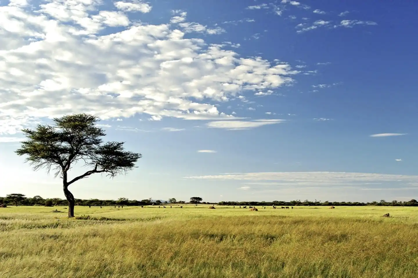 Namibia mit Kinderaugen Landschaft