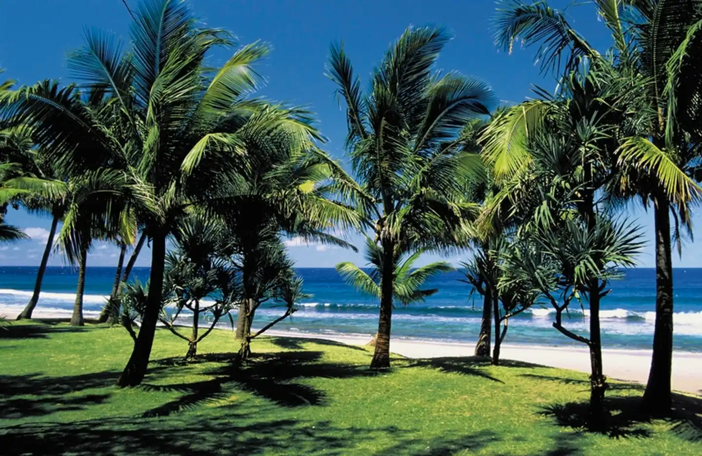 La Réunion zum Genießen Garten