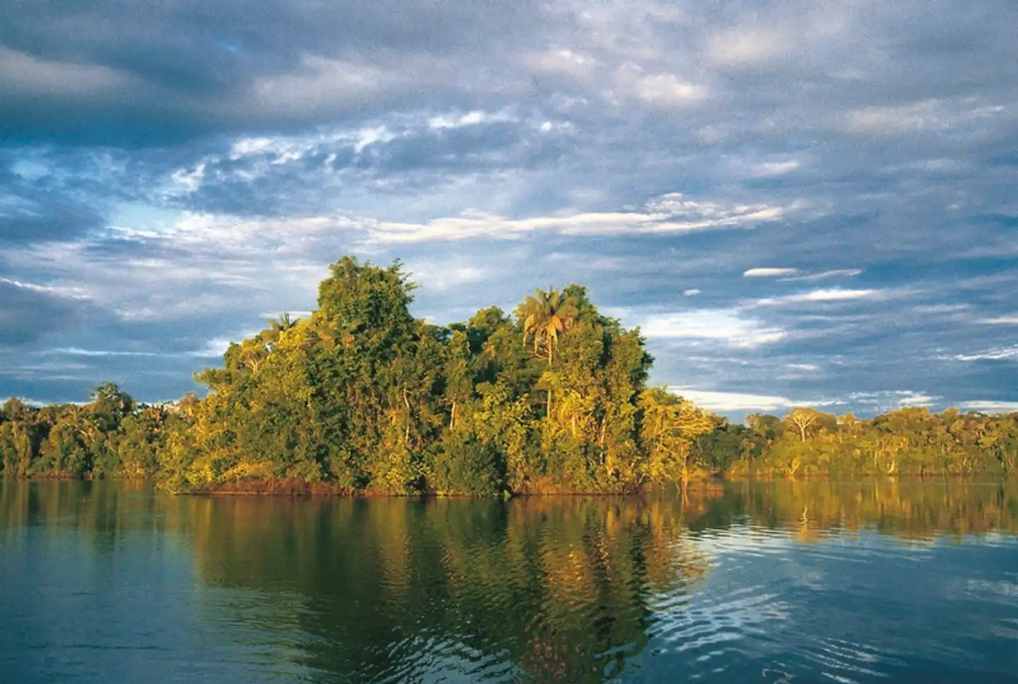 Amazonas Kreuzfahrt: Amazon Clipper (3 Nächte) Landschaft