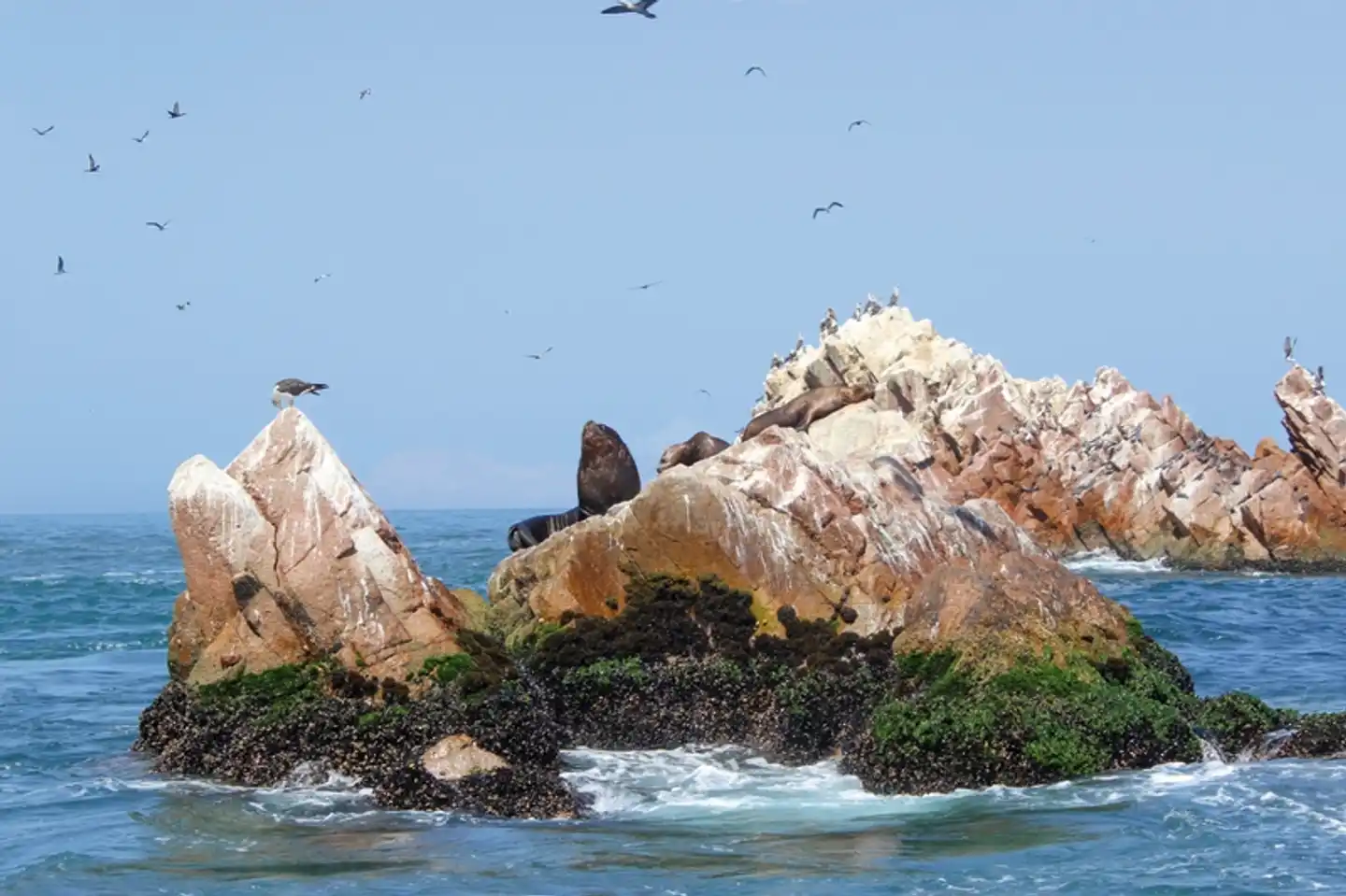 Rätselhafte Scharrbilder und 'Klein-Galapagos' Landschaft