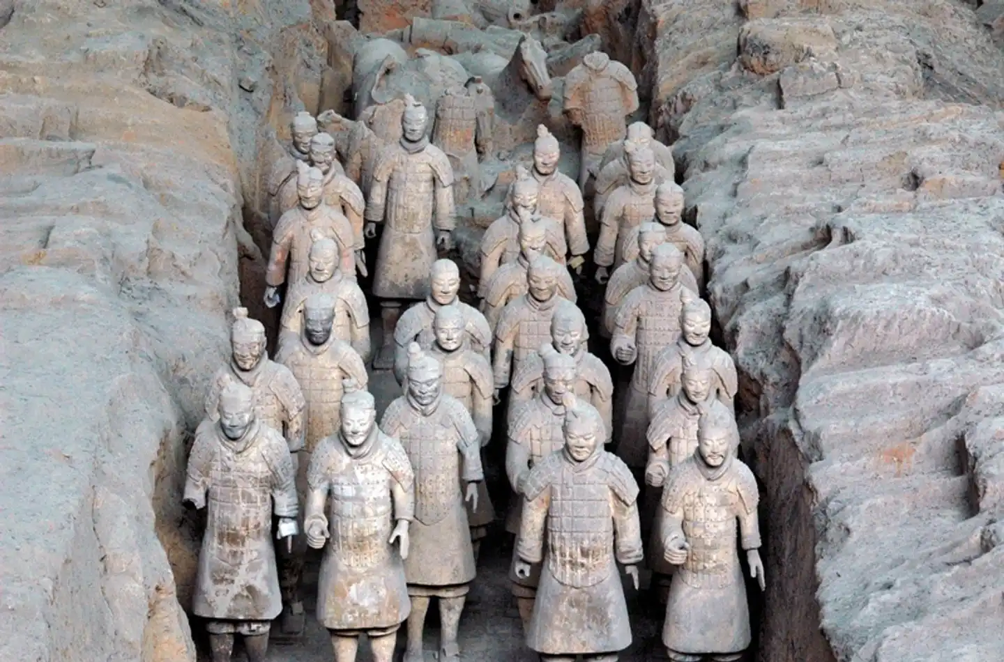 China mit Komfort und Genuss Tiere