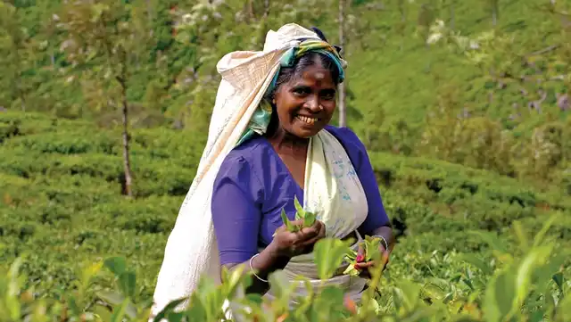 Sri Lanka hautnah erleben Personen