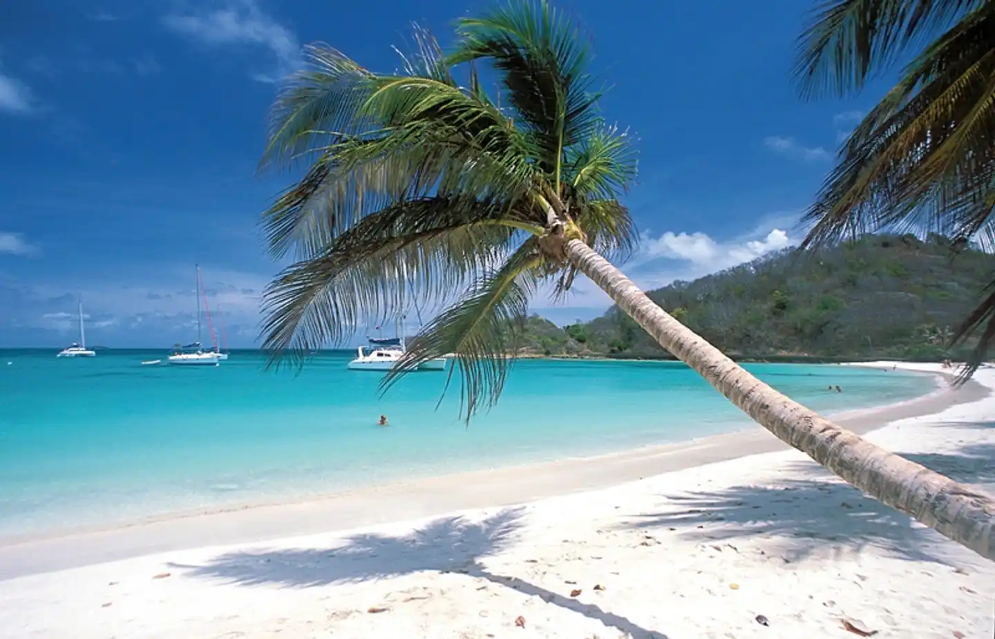 Naturwunder der Karibik Strand